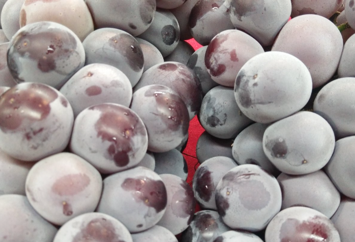 農(nóng)業(yè)農(nóng)村廳關(guān)于印發(fā)《江西省農(nóng)產(chǎn)品產(chǎn)地冷庫安全生產(chǎn)管理辦法》的通知