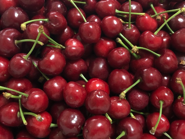 攀枝花市緊盯小櫻桃發(fā)展甜蜜經(jīng)濟