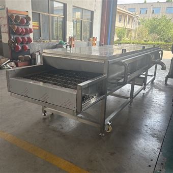 山藥連續噴淋清洗機 不銹鋼果蔬清洗設備