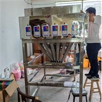 ZH装盒拼豆颗粒24头多功能高精度分装机现货