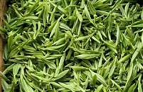 乐山：“峨眉山茶”抢“鲜”上市 全链增效助推乡村振兴