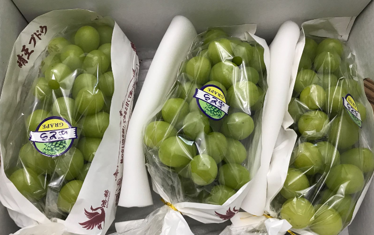 江苏省冷链学会对《生鲜果蔬全程冷链配供质量控制技术规范》团体标准公开征求意见