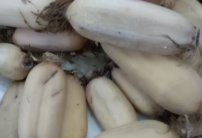 食品机械深加工，莲藕跳出“鲜售单一模式”