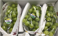桂林市市场监管局关于规范冷藏冷冻仓库食品贮存行为的告知书