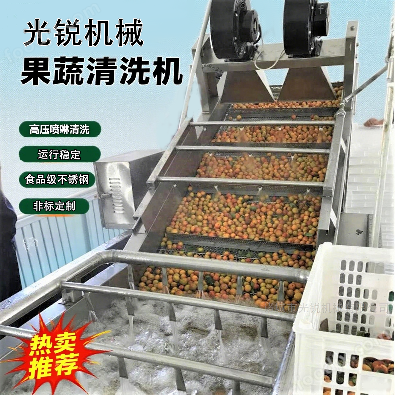 供應甜玉米清洗機