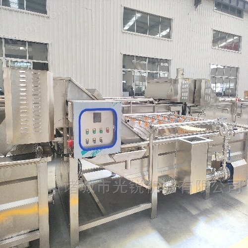 薺菜清洗機(jī)