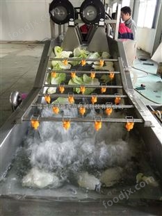 秋葵氣泡清洗機 凈菜加工設(shè)備 菠菜清洗機
