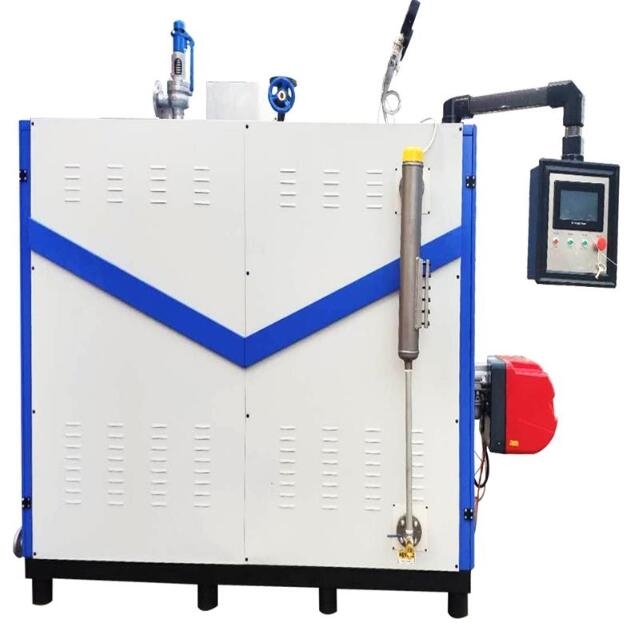 立浦熱能500kg燃?xì)庹羝l(fā)生器